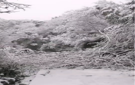戰(zhàn)暴雪、保供電！湖南發(fā)展鳥兒巢公司應(yīng)對極端天氣緊急搶修失電故障